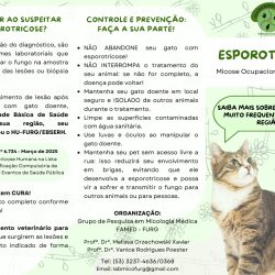 Captura de tela_11-8-2025_183213_