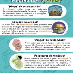 Captura de tela_13-2-2025_10910_